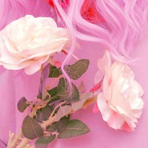 Meet your Posher, Eden